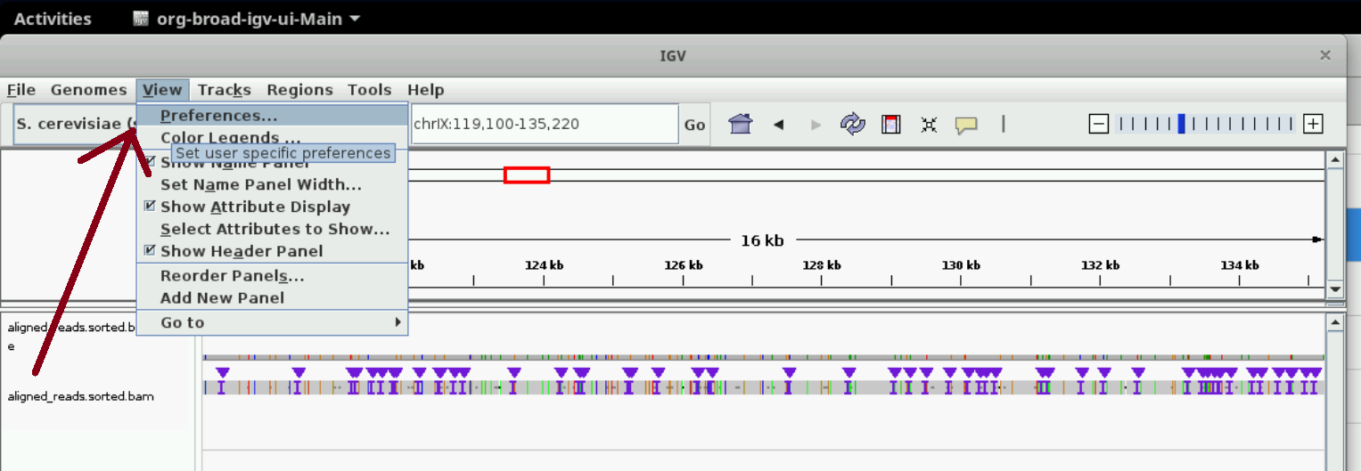 Instructions on how to increase visibility in IGV