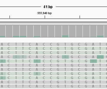 IGV view with individual modified bases