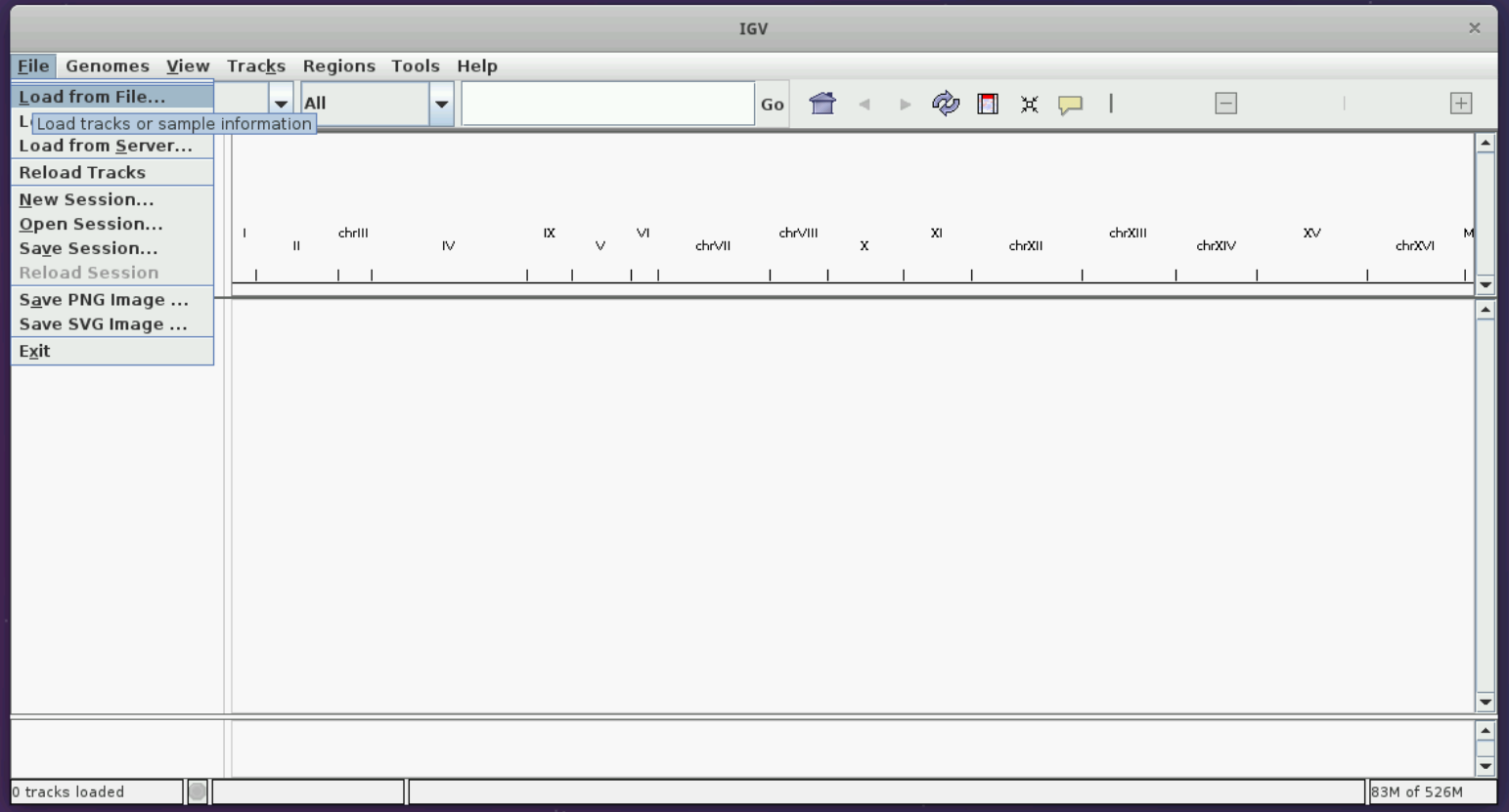 Instructions on how to load BAM file