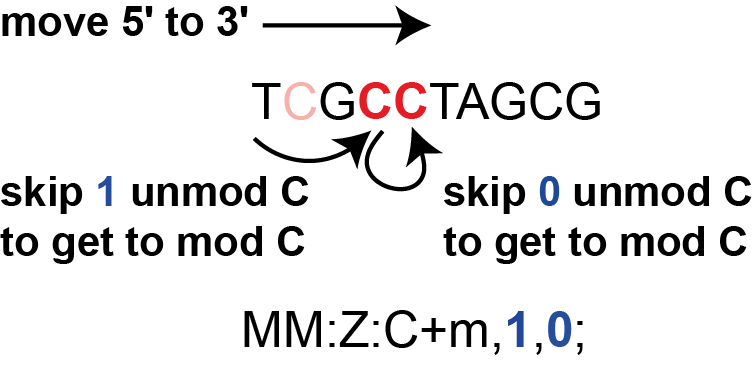 Picture demonstrating skip array